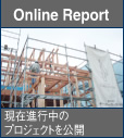 Online Report